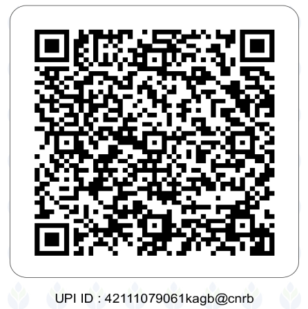 Dipsons Foundation Donation QR Code
